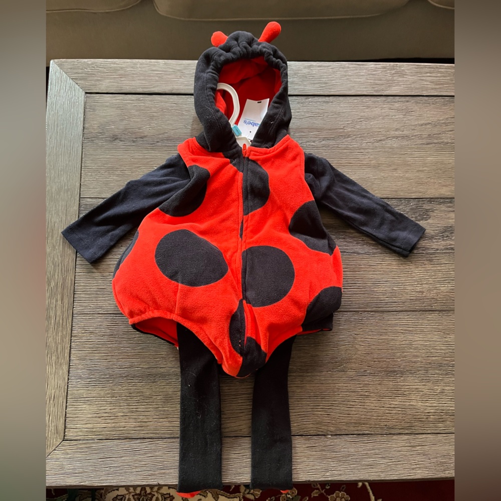 Adorable 3/6 months Ladybug outfit- NWT
